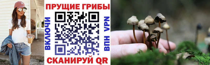 omg сайт  Большой Камень  Галлюциногенные грибы MAGIC MUSHROOMS  что такое  