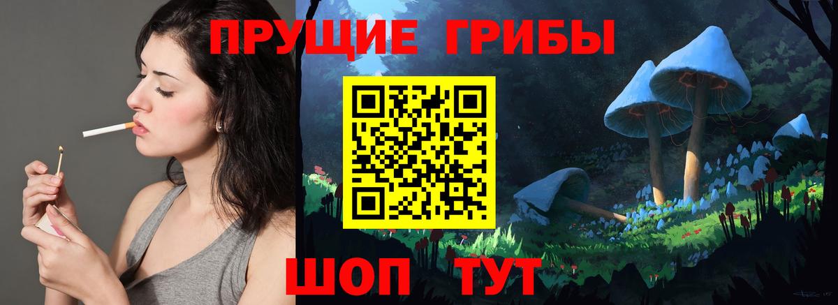 Псилоцибиновые грибы MAGIC MUSHROOMS  Вход с VPN  Большой Камень 